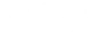 Logo PUZZLE Centre