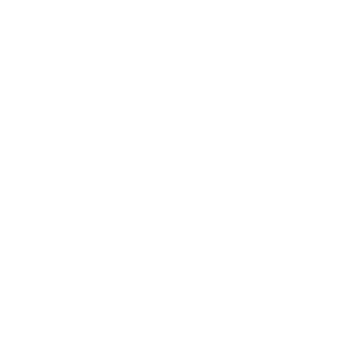Logo Vibration